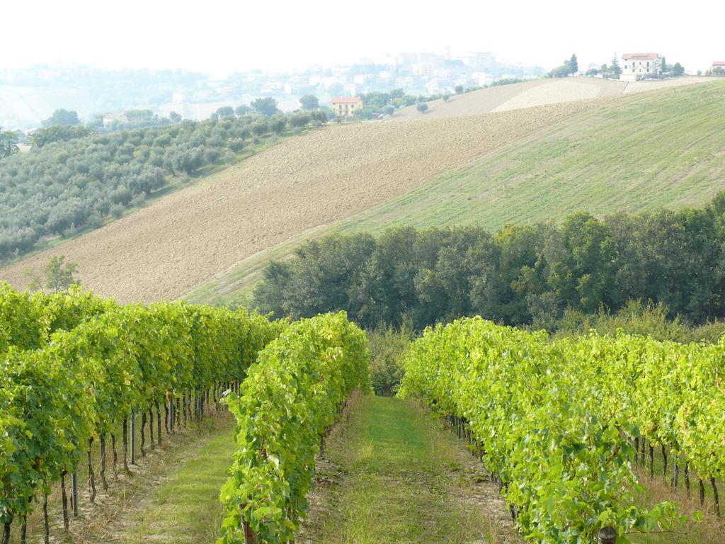 Agriturismo Al Rifugio Divino Belvedere Ostrense Exteriér fotografie